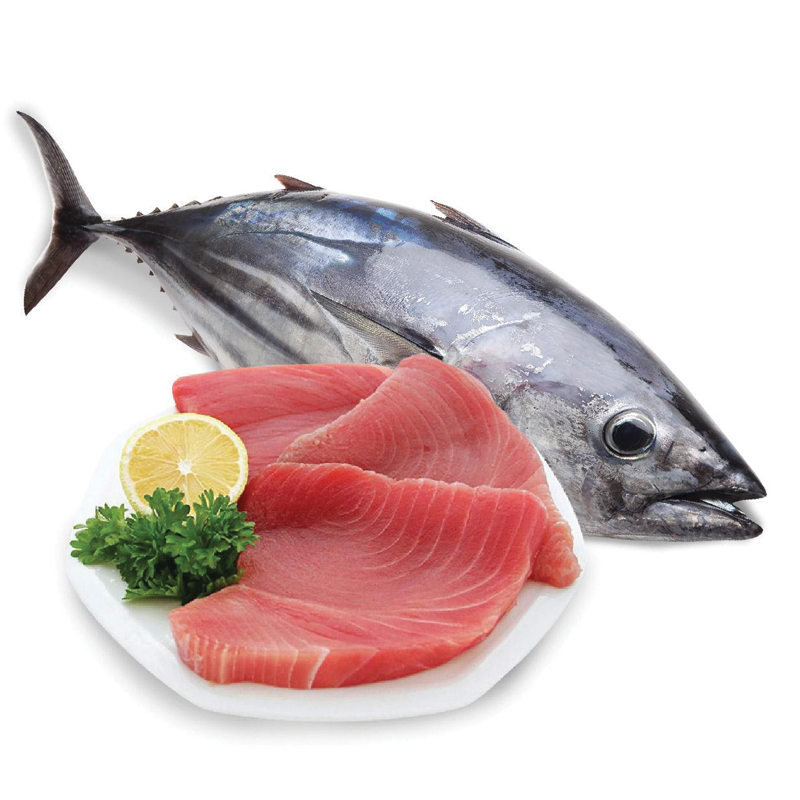 Cá Ngừ Đại Dương