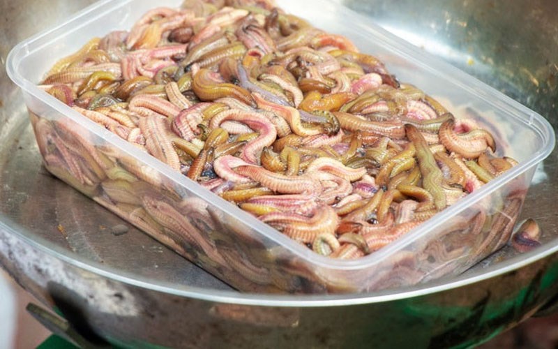 Cách bảo quản và rã đông rươi