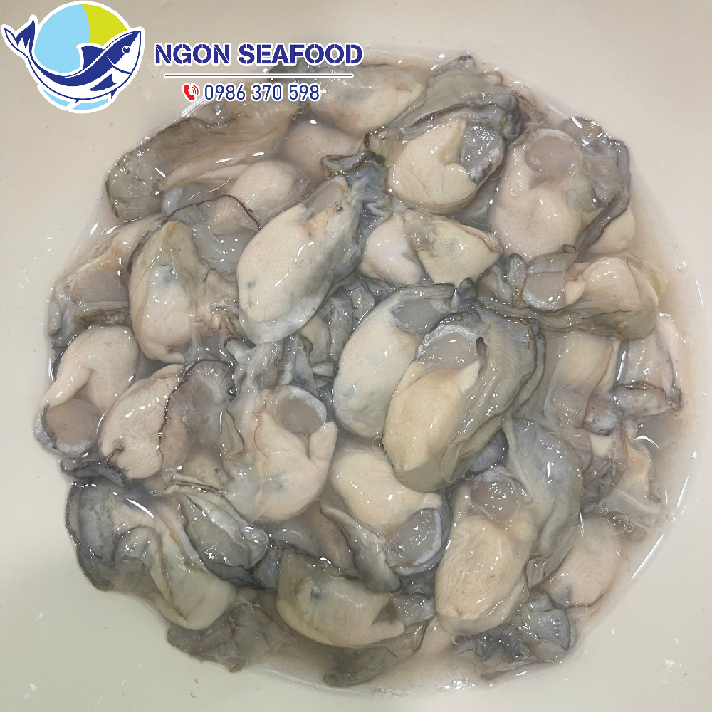 Hàu biển Quảng Ninh - Hút chân không - Bịch 500gr