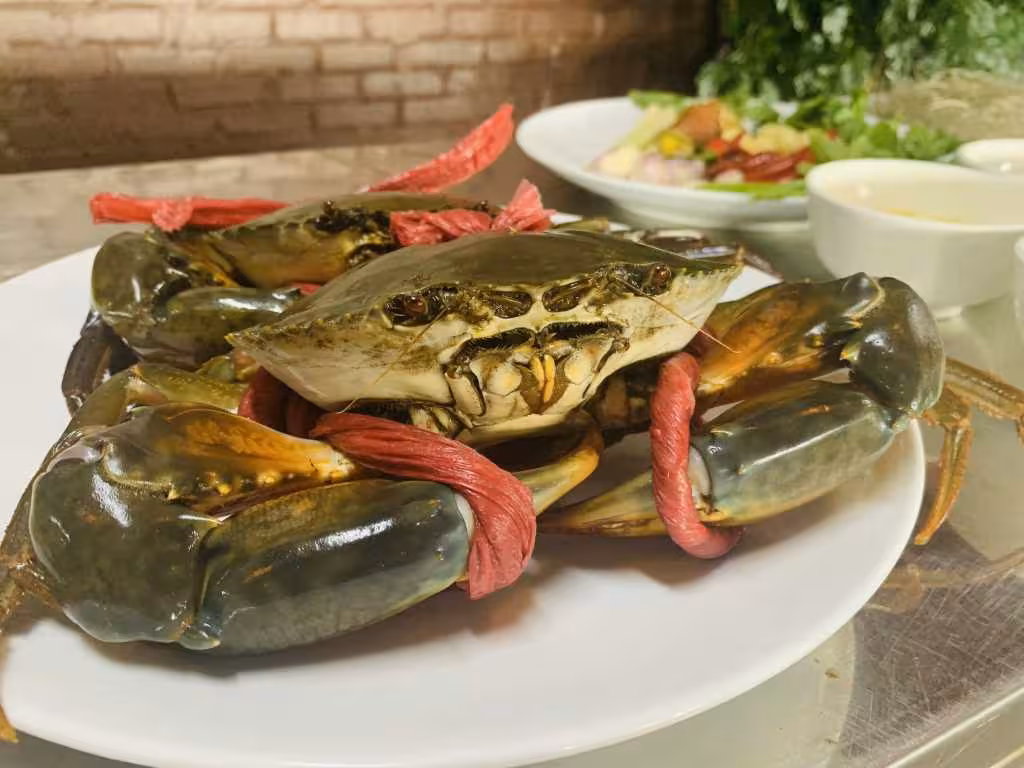 Bí quyết chế biến món cua om miến đậm đà hương vị biển Quảng Ninh Bí quyết chế biến món cua om miến đậm đà hương vị biển Quảng Ninh