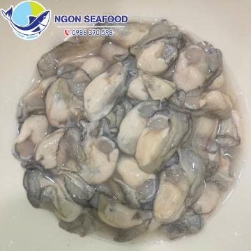 Hàu Sữa Quảng Ninh: Đặc Sản Vân Đồn Giàu Dinh Dưỡng, Ăn Ngon Khó Cưỡng! Hàu Sữa Quảng Ninh: Đặc Sản Vân Đồn Giàu Dinh Dưỡng, Ăn Ngon Khó Cưỡng!