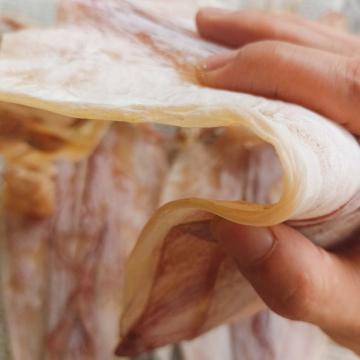 CÁC LOẠI MỰC KHÔ PHỔ BIẾN HIỆN NAY VÀ LOẠI NGON NHẤT CÁC LOẠI MỰC KHÔ PHỔ BIẾN HIỆN NAY VÀ LOẠI NGON NHẤT