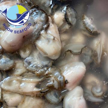 Hà Sú Quảng Ninh - Tại Sao Giới Sành Ăn Lại  Hà Sú Quảng Ninh - Tại Sao Giới Sành Ăn Lại