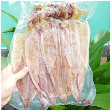 Bật Mí 4 Cách Bảo Quản Mực Khô Cả Năm Không Hỏng, Giữ Trọn Vị Ngon Bật Mí 4 Cách Bảo Quản Mực Khô Cả Năm Không Hỏng, Giữ Trọn Vị Ngon