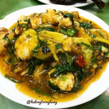 Thưởng Thức Sam Biển Quảng Yên: Đặc Sản Trứ Danh Đậm Đà Hương Vị Biển Thưởng Thức Sam Biển Quảng Yên: Đặc Sản Trứ Danh Đậm Đà Hương Vị Biển