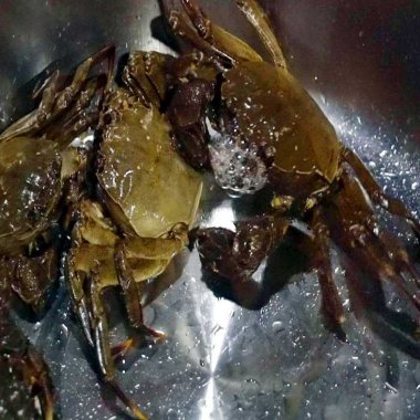 Lẩu cà ra Đồn Đạc: Tinh hoa ẩm thực mùa đông vùng cao Ba Chẽ Lẩu cà ra Đồn Đạc: Tinh hoa ẩm thực mùa đông vùng cao Ba Chẽ