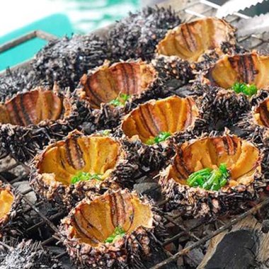 Khám Phá Cầu Gai Minh Châu: 'Nhân Sâm Biển' Quý Hiếm Của Vùng Đảo Ngọc Khám Phá Cầu Gai Minh Châu: 'Nhân Sâm Biển' Quý Hiếm Của Vùng Đảo Ngọc