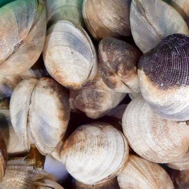 Cháo thưng Quảng Ninh: Đặc sản biển độc đáo khó cưỡng Cháo thưng Quảng Ninh: Đặc sản biển độc đáo khó cưỡng