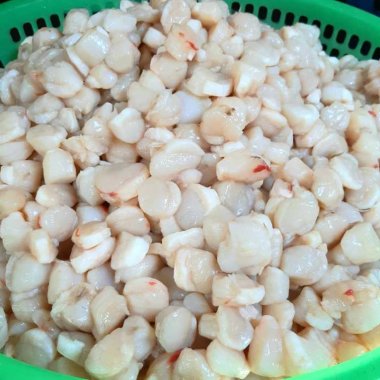 Cơ trai xào cần tỏi: Đặc sản tinh túy từ vùng biển Quảng Ninh Cơ trai xào cần tỏi: Đặc sản tinh túy từ vùng biển Quảng Ninh