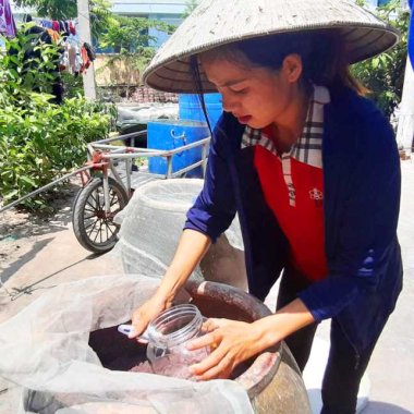 Khám phá đặc sản mắm tép Ngọc Vừng nổi tiếng Quảng Ninh Khám phá đặc sản mắm tép Ngọc Vừng nổi tiếng Quảng Ninh