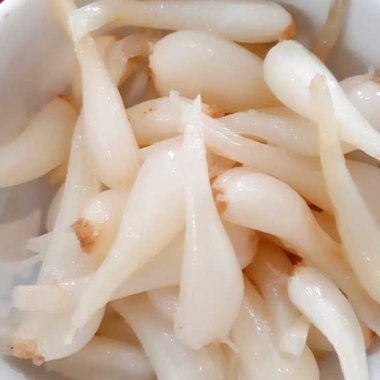 Kiệu Ngọc Vừng: Đặc sản giòn ngọt từ vùng đất cát thủy tinh Kiệu Ngọc Vừng: Đặc sản giòn ngọt từ vùng đất cát thủy tinh