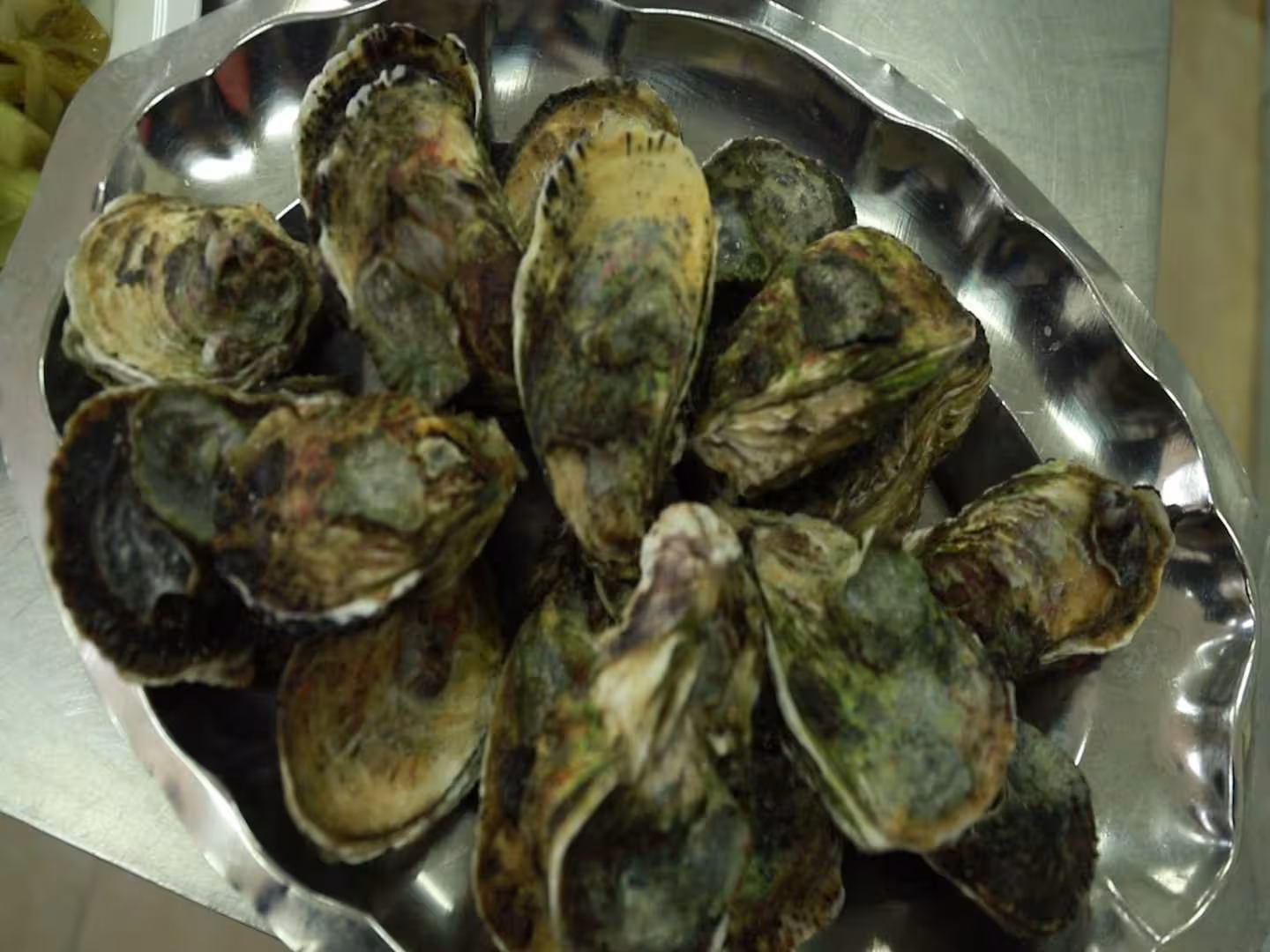 Cơm Hàu Tai Cầm: Đặc Sản Độc Đáo Từ Hàu Sữa Vân Đồn Cơm Hàu Tai Cầm: Đặc Sản Độc Đáo Từ Hàu Sữa Vân Đồn