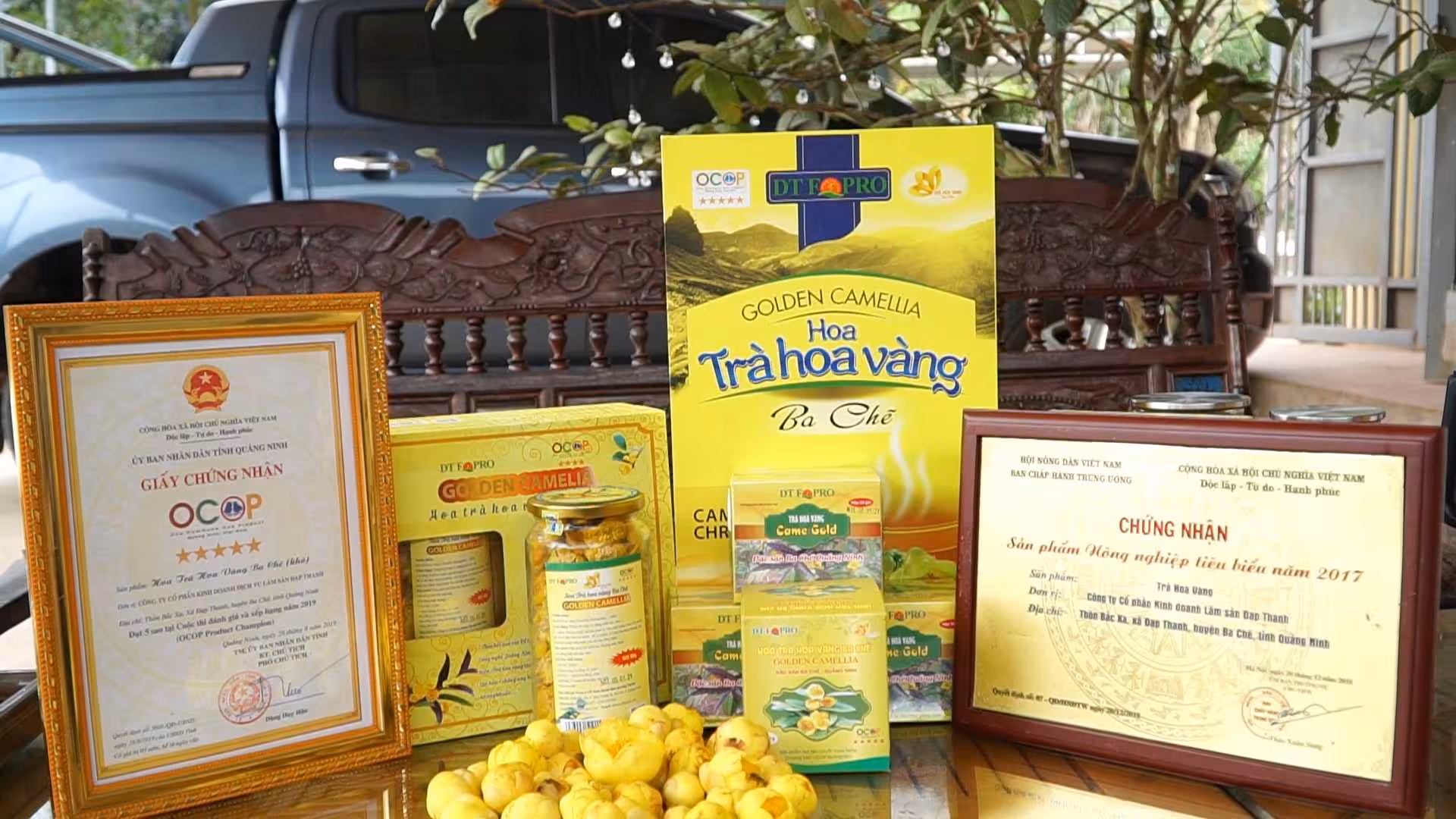 Trà hoa vàng Ba Chẽ: Hành trình từ cây dại trở thành dược liệu quý Trà hoa vàng Ba Chẽ: Hành trình từ cây dại trở thành dược liệu quý